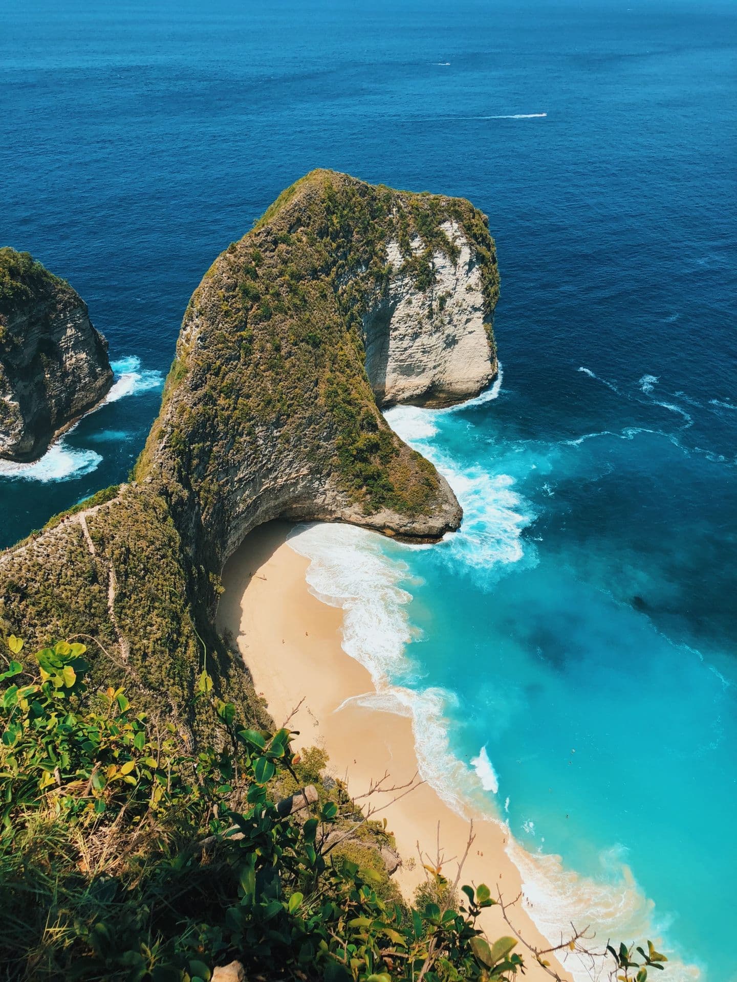 Aerial view of a tropical beach
